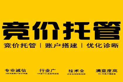 SEM竞价代运营公司经典案例解析
